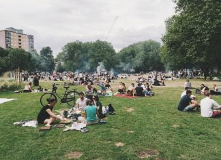 Topp 5 - sommaraktiviteter