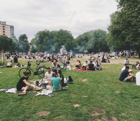 Topp 5 - sommaraktiviteter