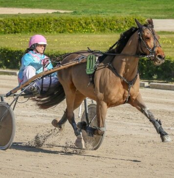 Sundsvall Open Trot – En av Sveriges största travtävlingar