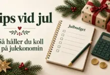 Illustration av en julbudget med miniräknare, mynt, julklappar och grankvistar intill texten ”Tips vid jul – Så håller du koll på julekonomin”.