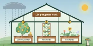 Illustration av ett växthus med skylten ”Låt pengarna växa” som skyddar tre numrerade odlingslådor – ett träd med guldmynt där ett mynt faller ner i en korg (Utdelningsaktier), en klätterväxt med jämnt fördelade mynt på en spaljé (Räntefonder) och en blandad plantering av många olika växter (Indexfonder) – medan regnet faller utanför till vänster och ett solur står i solen till höger.