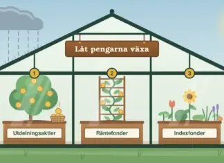 Topp 3 bästa och säkraste investeringsmetoderna Illustration av ett växthus med skylten ”Låt pengarna växa” som skyddar tre numrerade odlingslådor – ett träd med guldmynt där ett mynt faller ner i en korg (Utdelningsaktier), en klätterväxt med jämnt fördelade mynt på en spaljé (Räntefonder) och en blandad plantering av många olika växter (Indexfonder) – medan regnet faller utanför till vänster och ett solur står i solen till höger.